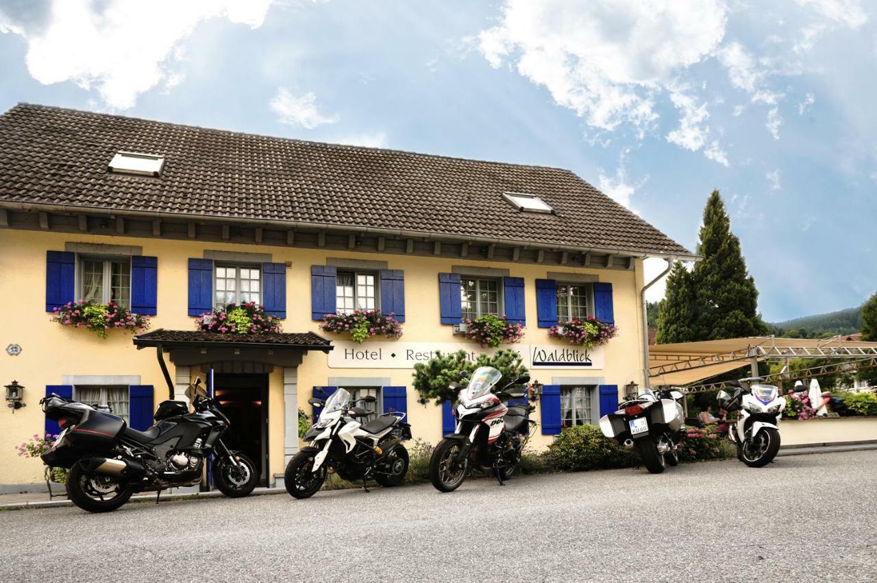 Hotel Waldblick Schenkenzell Exteriér fotografie